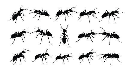A collection of black silhouette ants shown in various walking poses
