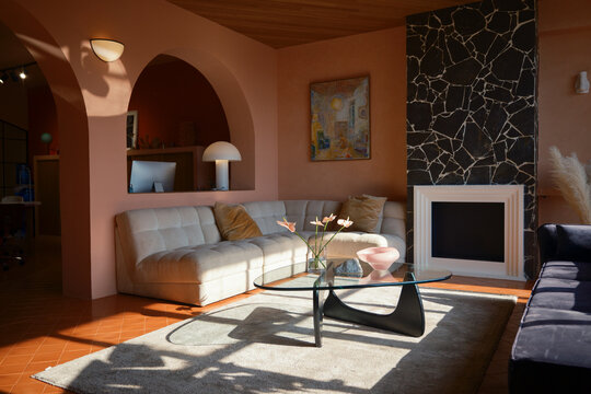 Cozy apartment: living room and meeting room