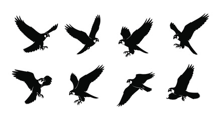 A collection of black silhouettes depicting birds in dynamic flight positions