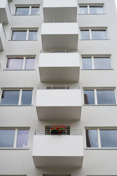 Moving into the new apartment started with bringing flowers