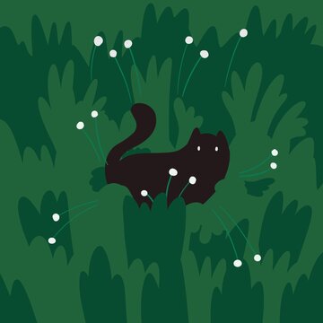 Cute black cat roaming outdoors in the deep grass.