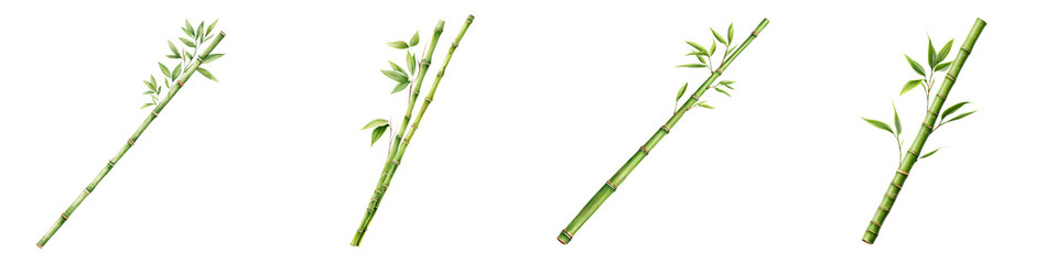Bamboo Stalks Watercolor: Asian Zen Style Design Elements