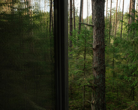 Fototapeta Cabin in the woods.