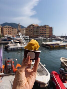 Ice-cream with a view