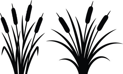 Black silhouette of cattails Vector  illustration graphic design element