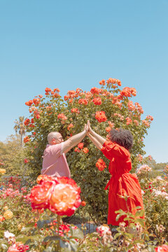 Couple in rose garden
