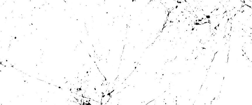 Vector black and white scratches scattered dust ink splatter texture  scratch
