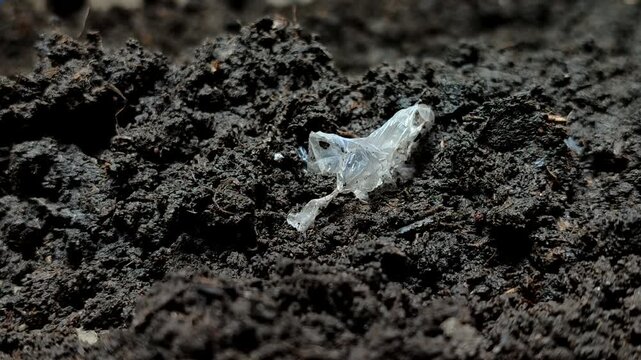 Plastic waste buried in the soil. Plastic pollution is extremely damaging, reducing soil fertility by inhibiting water and air absorption, and poisoning vital organisms like earthworms and microbes.