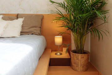 Cozy bedroom with plant and simple decor in warm tones