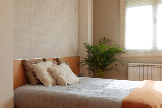 Cozy bedroom interior with soft decor and natural light