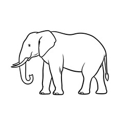 Simple elephant line art vector for children's coloring book page