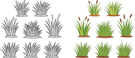 Illustrations of cattails and various types of wetland grasses in differing styles