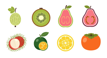 Colorful assortment of fresh fruit illustrations isolated on white background