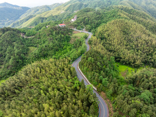 A winding mountain road through a bamboo forest.