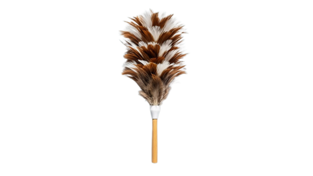 Traditional feather duster with wood handle for dusting household surfaces isolated on transparent background ideal cleaning tool
