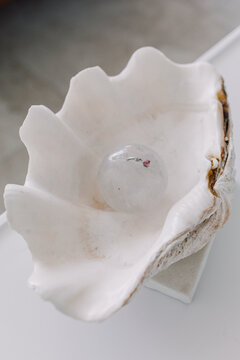 Engagement Ring Encased in Quartz Sphere Displayed in Seashell