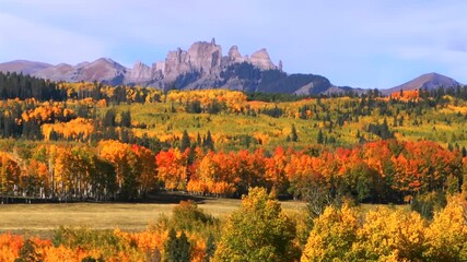 the Castle Mountain Mill Castle Gunnison National Forest Crested Butte Ohio Kebler Pass Colorado aerial drone parallax morning autumn fall Aspen tree colors blue sky ranch land farmland slide left - Powered by Adobe