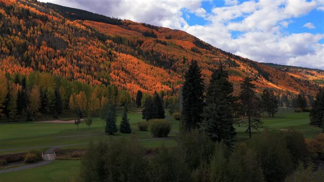 Vail Golf club golfing greens Valley Vail Village Ski Resort Eagle county aerial drone Colorado fall autumn Rocky Mountains ski trails quaking Aspen Trees morning blue sky upwards motion
