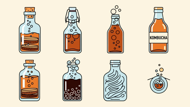 Kombucha Culture Collection Diverse Fermented Tea Drink Line Art