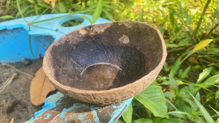 An empty coconut shell sits on the ground. Its texture and shape are evident, hinting at its previous purpose