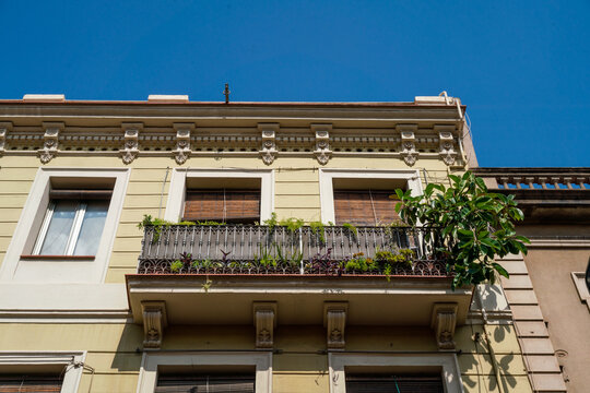 Beautiful balcony with plants