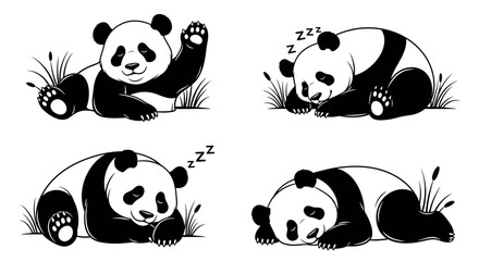 Obraz premium Sleeping panda bears in various poses