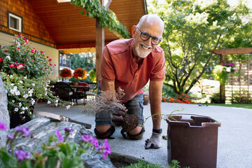 Candid elderly man gardening outdoors, smiling while planting flowers