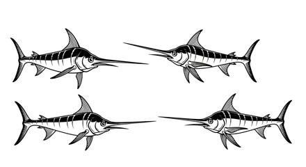 Marlin fish set with transparent background