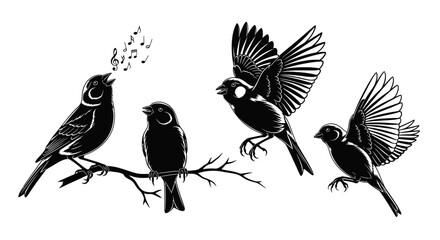 Singing birds on branch with transparent background