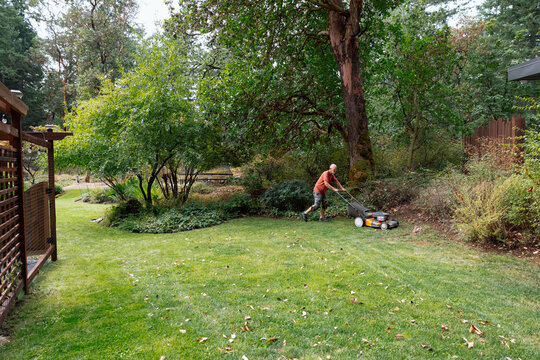 Candid gardener mowing a lush backyard lawn under trees