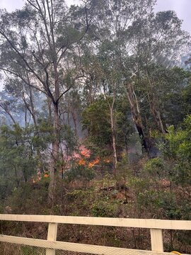 Controlled Burn