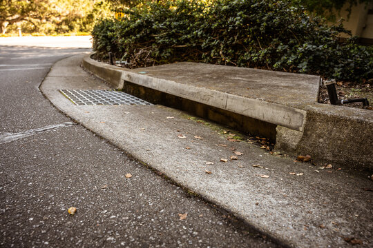 Close-up view of a roadside storm drain and concrete curb on an asphalt street, with scattered autumn leaves and soft natural light. The image highlights urban infrastructure, water drainage systems