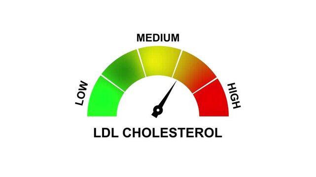 Ldl Cholesterol Gauge Meter Showing Medium Level With Color Zones Green Yellow Orange Red. 4K motion animation on a transparent background alpha channel.