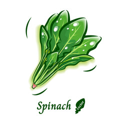 ほうれん草のポップなベクター素材｜新鮮で可愛い野菜のイラスト