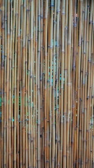 Bamboo Stems Natural Closeup Brown. Vertical Canes Textured Macro Rustic