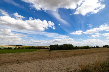 Obraz premium Epernay, Marne, Grand-Est, France, August, 28th, 2025, Champagne Area, Open countryside view, Peaceful rural field with sky and crops, Tranquil farmland scene under bright sky with green