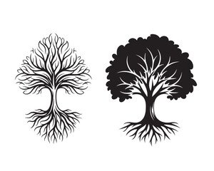 Black tree silhouette with roots and branches. Winter bare tree without leaves and summer tree with foliage vector set.