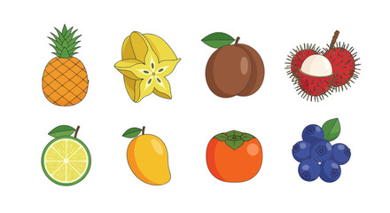 Colorful tropical fruit set isolated illustrations for various design projects