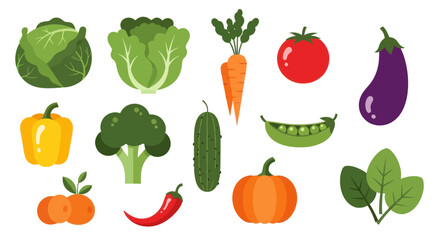 Colorful vector illustration of various fresh vegetables for design