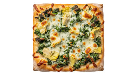 Fresh Vegetable and Cheese Pizza with Herbs.