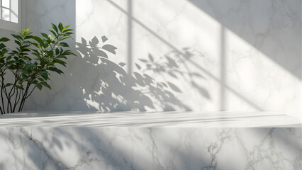 Minimalist marble interior with sunlight casting geometric shadows through a window onto a leafy plant and textured wall.