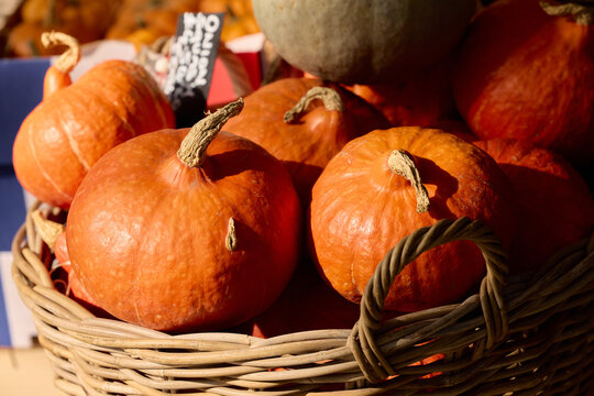 Red Kabocha Pumpkins in Wicker Baskets
