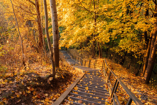 Stairway In The Park At Fall Season