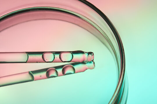 Petri dish with glass pipette and face serum on a gradient background.