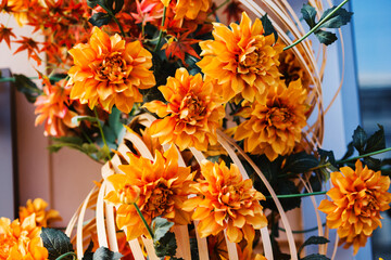Bright Orange Flowers Arranged Artfully in a Floral Display