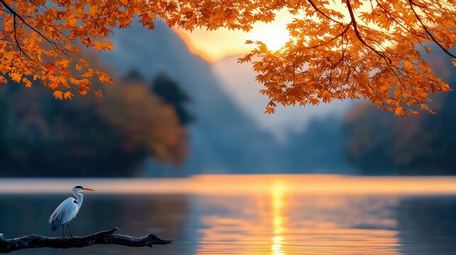 A heron is perched on a branch, overlooking a tranquil lake at sunset, with golden autumn foliage in the foreground.