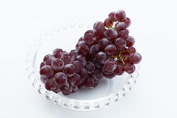 デラウェア　白バック