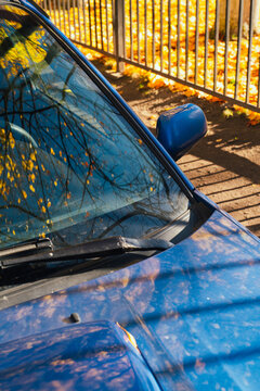 Blue Car with Leaf Reflections in Sunlight