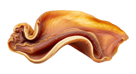 Pig ear treat transparent background cutout png