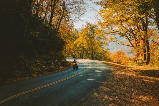 Riding through an autumn forest.